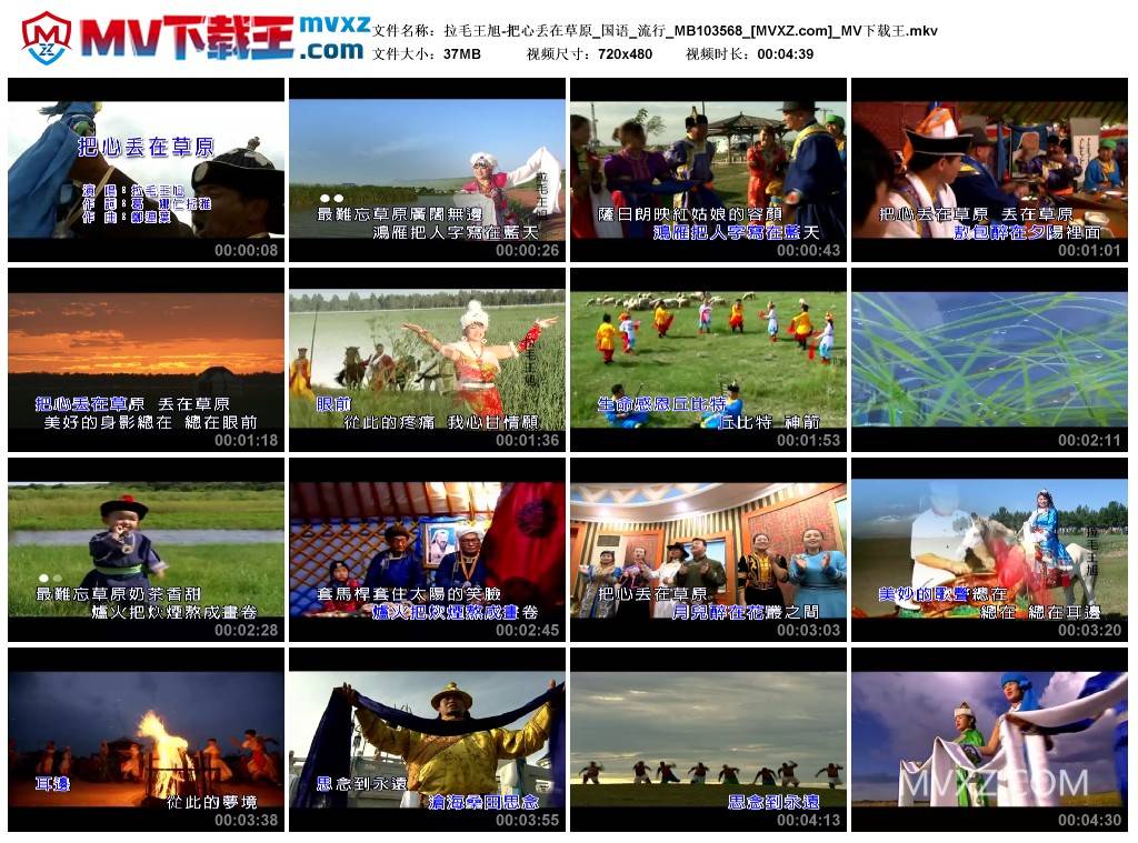 拉毛王旭-把心丢在草原_国语_流行_MB103568